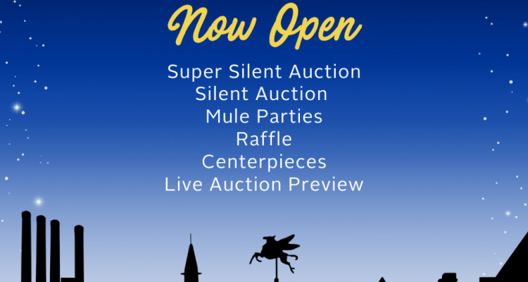 The Silent Auction is NOW OPEN!